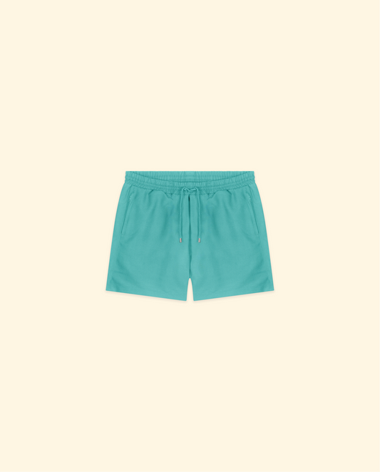 Zip Swim Shorts in Turquoise